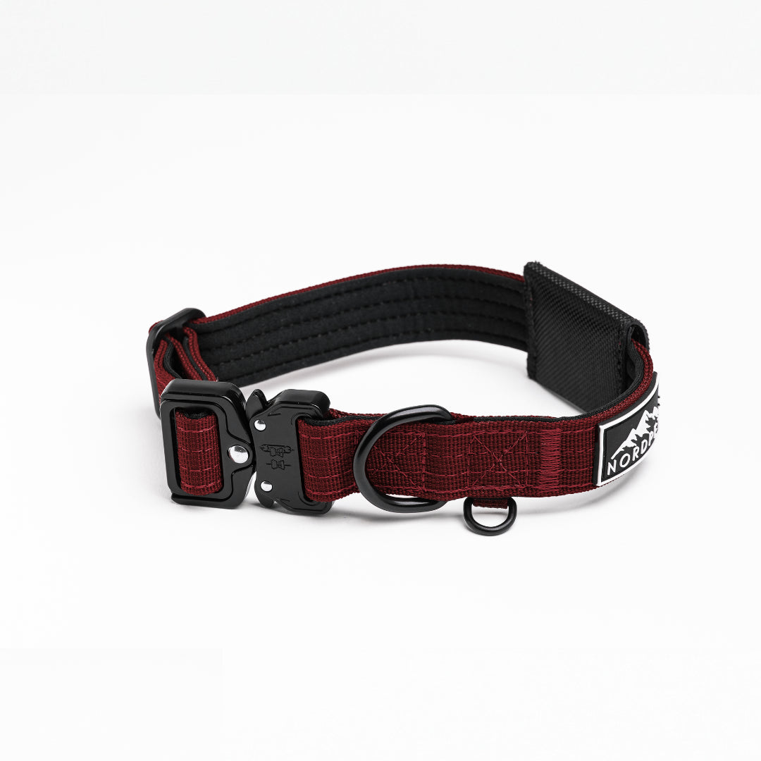 NordPet Premium AirTag Dog Collar - Ruby