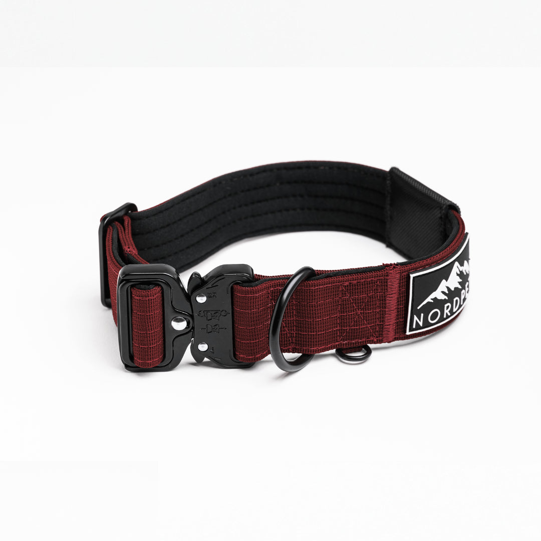 NordPet Premium AirTag Dog Collar - Ruby