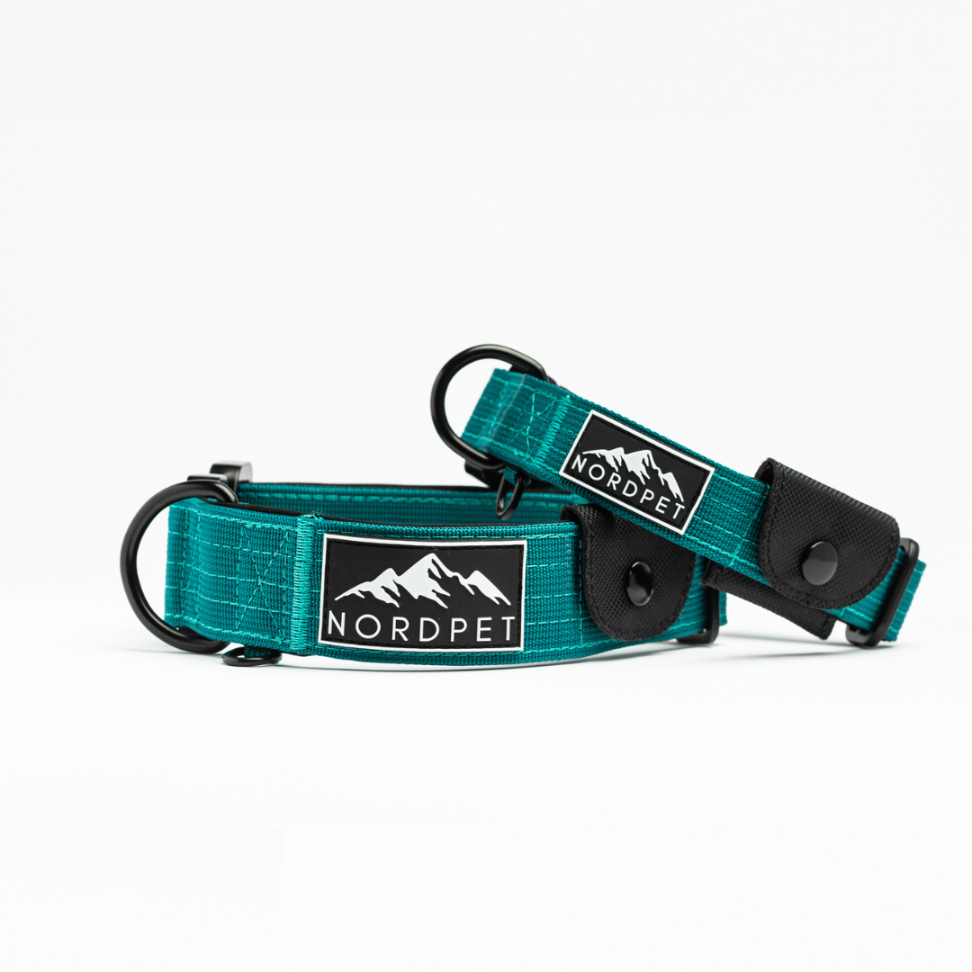 NordPet Premium AirTag Dog Collar - Emerald