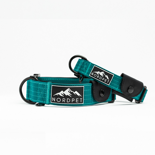 NordPet Premium AirTag Dog Collar - Emerald