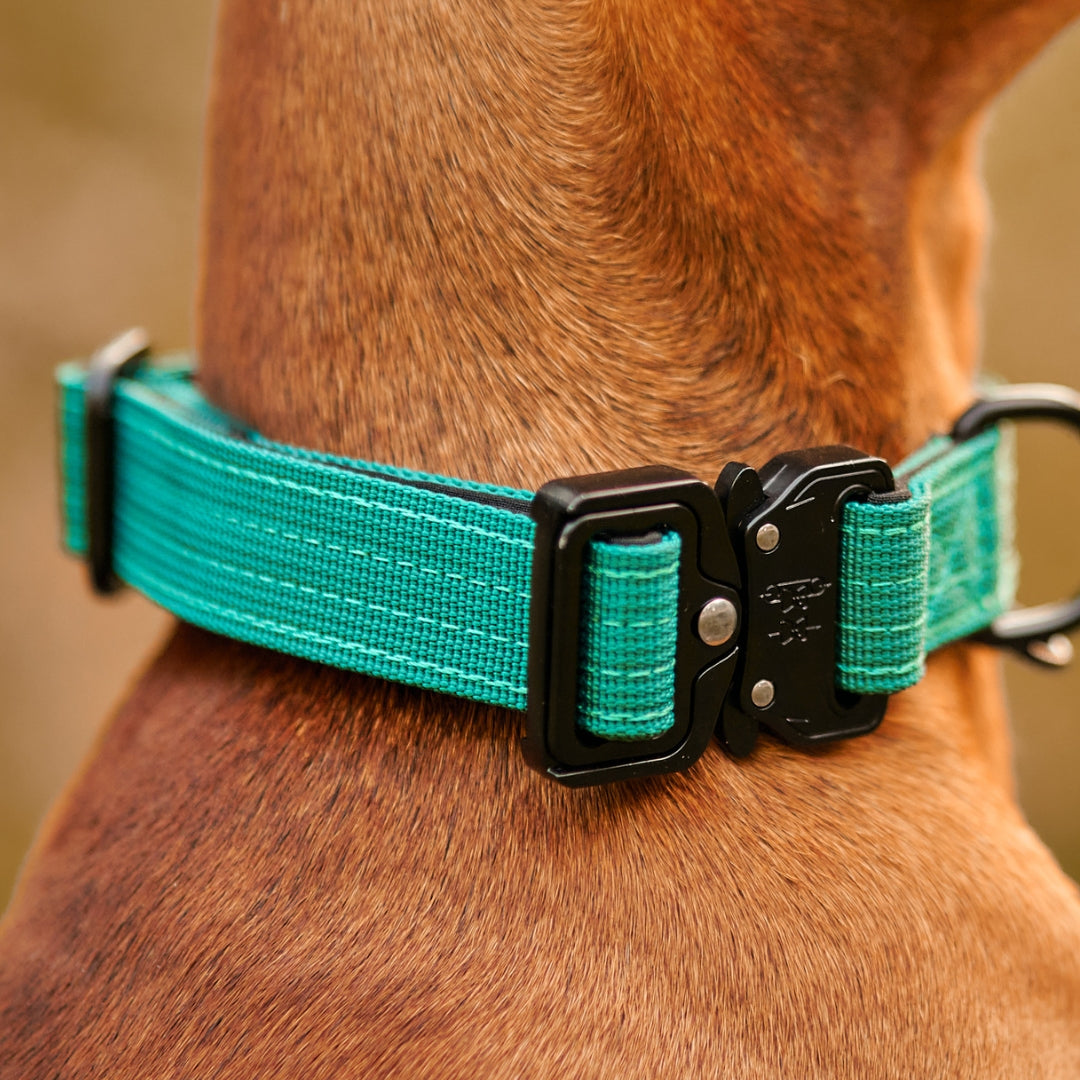 NordPet Premium AirTag Dog Collar - Emerald