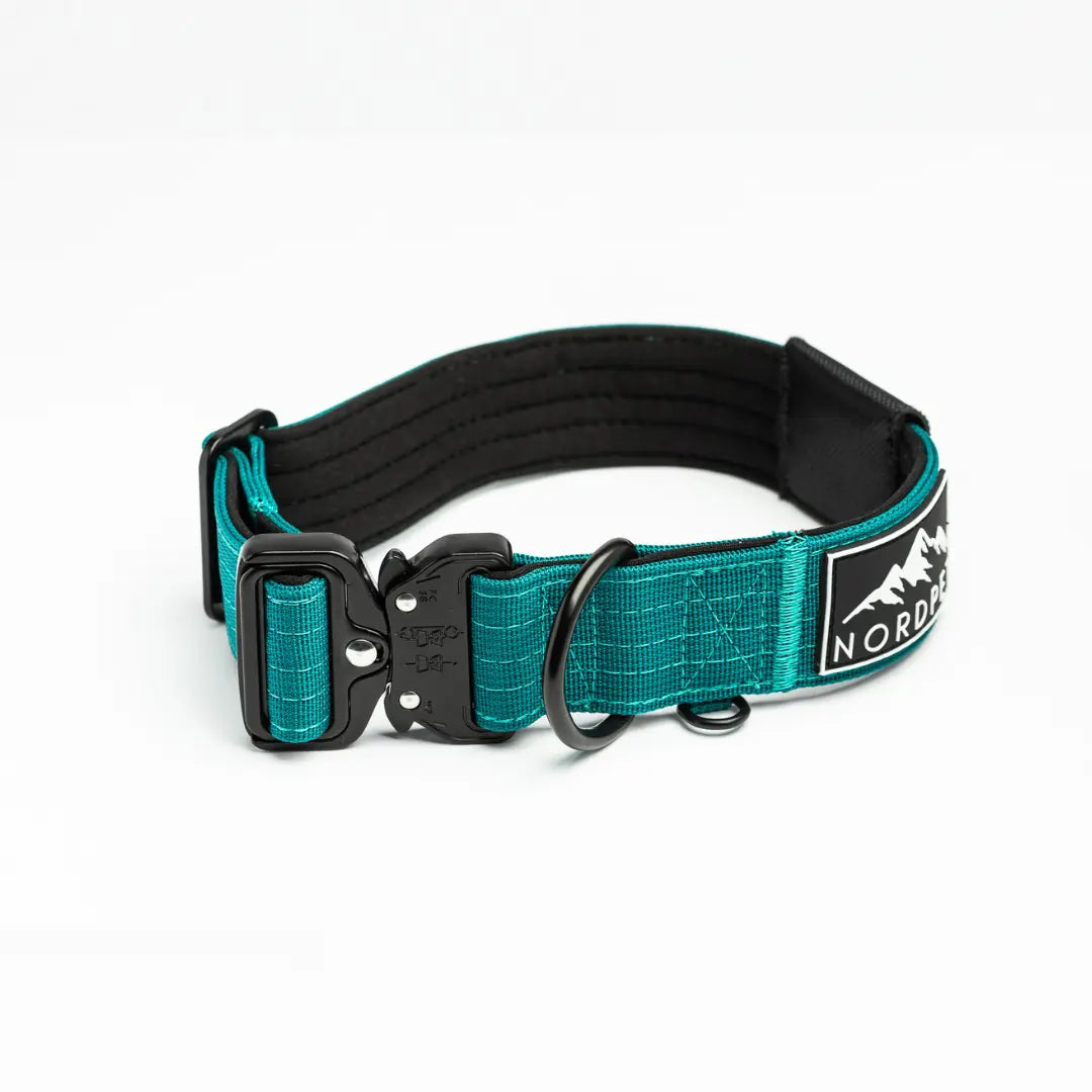 NordPet Premium AirTag Dog Collar - Emerald