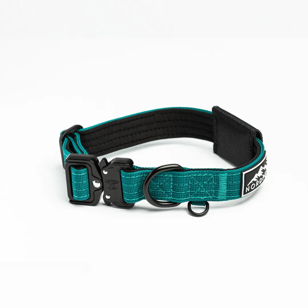 NordPet Premium AirTag Dog Collar - Emerald